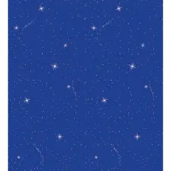 Pacon&reg; Fadeless&reg; Night Sky Blue Design Roll, 4 Pack