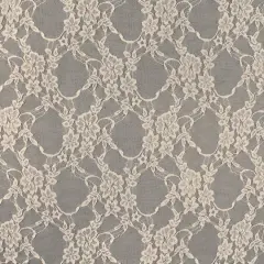 Champagne Stretch Lace