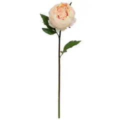 King Peony Stem By Ashland&reg; Peach