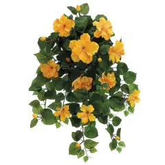 Yellow Hibiscus Hanging Bush