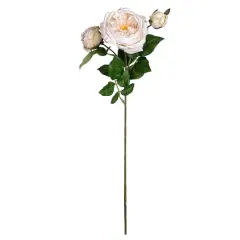 Toast English Rose Stem by Ashland&reg;