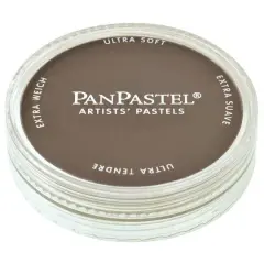 PanPastel&reg; Artist Pastels Raw Umber Shade
