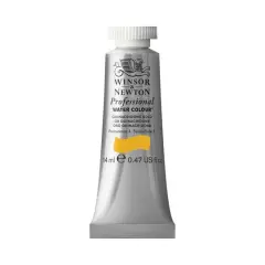 Winsor & Newton&reg; Professional Water Colour&trade; Paint Tube, 14mL Quinacridone Gold