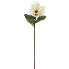 34" Magnolia Stem, White