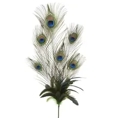 35" Peacock Feather Pick by Ashland&reg;