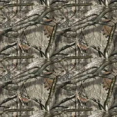 $product['description']['title']}