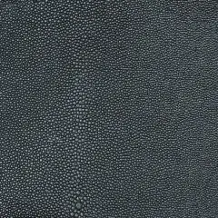 Nassimi Symphony Shagreen Barracuda Vinyl