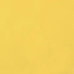 Nassimi Yellow Vinyl