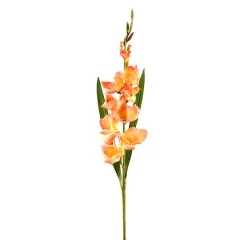 Gladiolus Stem by Ashland&reg; Salmon