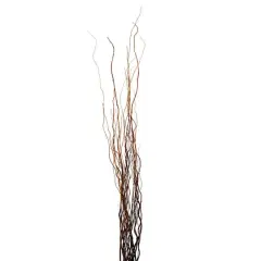 Natural Curly Willow by Ashland&reg;
