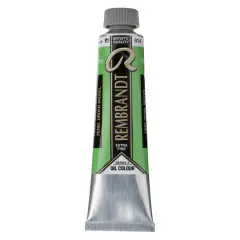 Rembrandt&reg; Artists' Oil Colour, 40mL Permanent Green Medium
