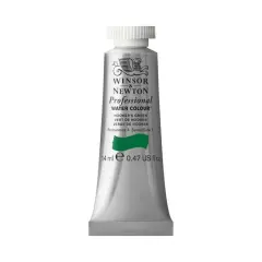 Winsor & Newton&reg; Professional Water Colour&trade; Paint Tube, 14mL Hooker's Green