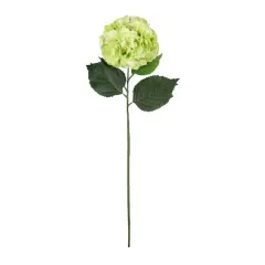 Garden Blooms Hydrangea Stem by Ashland&reg; Green