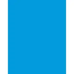 Pacon&reg; Blue Coated Poster Board, 22" x 28", Pack of 25