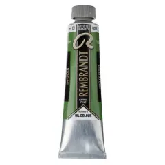 Rembrandt&reg; Artists' Oil Colour, 40mL Sap Green