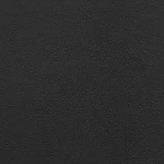 Nassimi Symphony Classic Black Vinyl