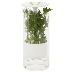 Honey Can Do Clear & White Herb Preserver