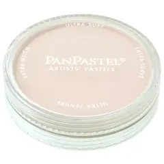 PanPastel&reg; Artist Pastels Raw Umber Tint