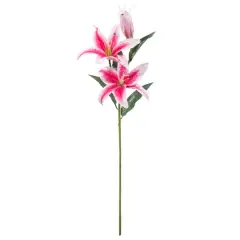 Casablanca Lily Stem by Ashland&reg; Hot Pink