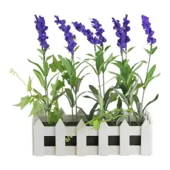11.75" Lavender Plant in White Picket Fence Container