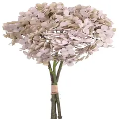 Taupe Hydrangea Bundle