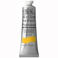 Winsor & Newton&reg; Professional Water Colour&trade; Paint Tube, 37mL Quinacridone Gold