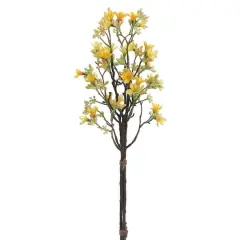 Yellow Heptacodium Bundle