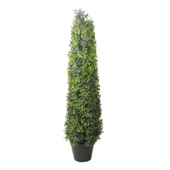 36" Two Toned Conical Shaped Shrub Potted Topiary