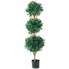 4 Ft. Triple Ball Sweet Bay Topiary