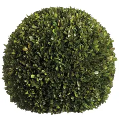 17" Preserved Boxwood Ball