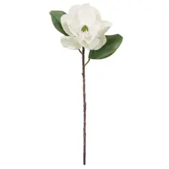 White Magnolia Stem by Ashland&reg;