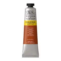 Winsor & Newton&trade; Galeria Acrylic&trade;, 200mL Burnt Sienna