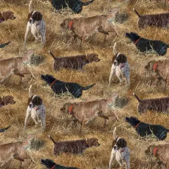 $product['description']['title']}