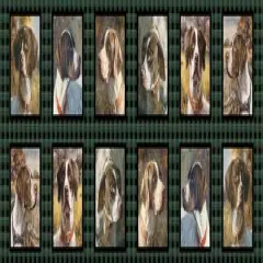 $product['description']['title']}