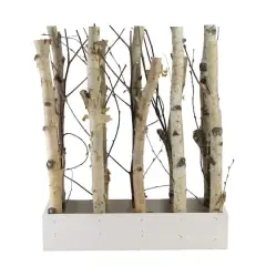 18.75" Mixed Branch Bouquet in White Wood Box