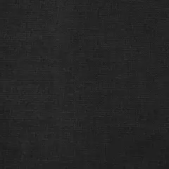Black Cotton Organdy