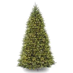 10 ft. Pre-Lit Dunhill&reg; Fir Hinged Full Artificial Christmas Tree, Clear Lights