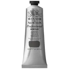 Winsor & Newton&reg; Professional Acrylic&trade; Paint Silver No2