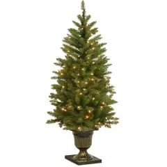 4 ft. Pre-Lit Potted Dunhill&reg; Fir Artificial Entrance Christmas Tree, Clear Lights