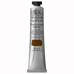 Winsor & Newton&reg; Professional Acrylic&trade; Paint Burnt Umber