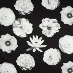 Iman Home Foto Fleur Onyx