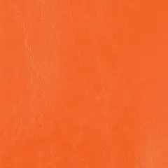 Nassimi Seaquest Navel Orange Vinyl