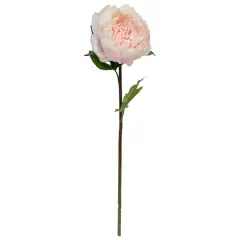 King Peony Stem By Ashland&reg; Light Pink