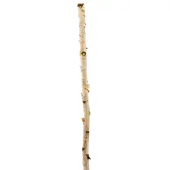 Ashland&reg; Natural River Birch