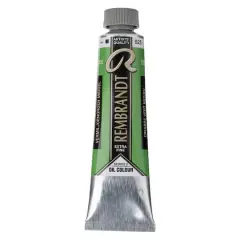 Rembrandt&reg; Artists' Oil Colour, 40mL Cinnabar Green Medium
