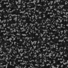 Black Glitz Sequin