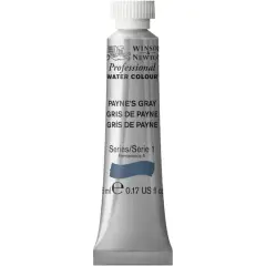 Winsor & Newton&reg; Professional Water Colour&trade; Paint, 5mL Payne's Gray