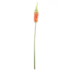 Orange and Red Foxtail Floral Crafting Stem