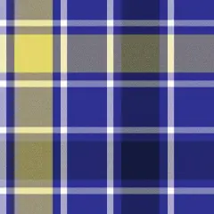 Springs Creative Bruno Plaid Navy Fleece Fabric