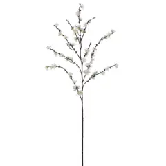 White Plum Blossom Stem